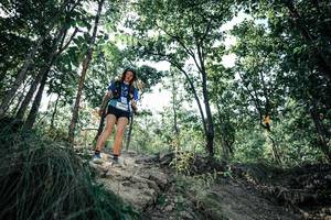 BIB: 
                            <button type="button" onclick="openModal(25991538)" class="btn btn-primary btn-sm float-right btn-popup" data-toggle="modal" data-target=".modal-high-quality">
                        <i class="fas fa-shopping-cart"></i> Add to Cart
                    </button>
                                            <button type="button" onclick="isThisMe(25991538, true)" class="btn btn-success btn-sm float-right btn-popup btn-isme hidden" data-toggle="tooltip" data-placement="bottom" title="นี่คือรูปของคุณใช่ไหม คลิกที่นี่เพื่อเอาเข้าอัลบั้ม">
                        <i class="fas fa-plus"></i> Add to album
                    </button>
                    <button type="button" onclick="isThisMe(25991538, false)" class="btn btn-warning btn-sm float-right btn-popup btn-isnotme hidden">
                        <i class="fas fa-ban"></i> Remove from album
                    </button>